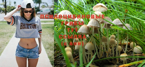 бошки Алексин