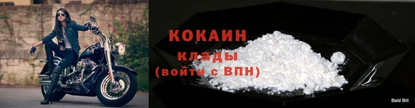 шишки Горняк