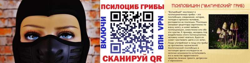 Галлюциногенные грибы Psilocybe  MEGA зеркало  Шатура  купить наркотики сайты 