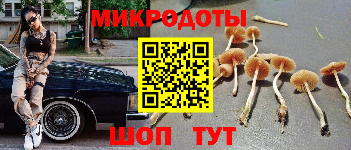Шатура  Псилоцибиновые грибы GOLDEN TEACHER  Вход с VPN  купить наркотик  Галлюциногенные грибы мицелий 