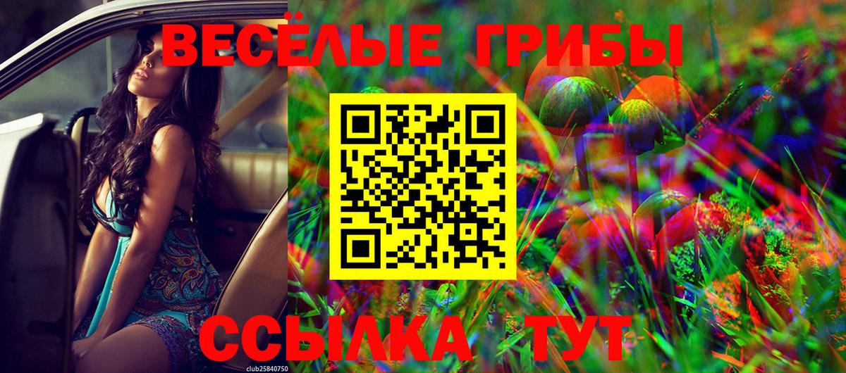 Галлюциногенные грибы мицелий Шатура